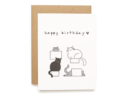 Birthday Cats in Containers